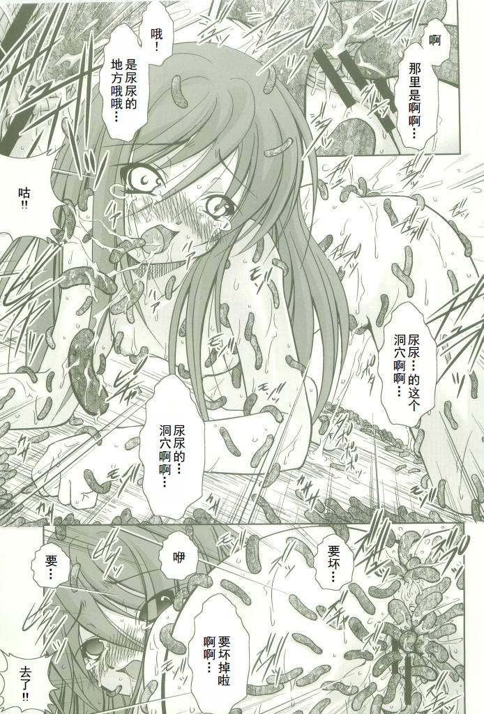 (コスカ16号店) [たかねの花園 (たかねのはな)] 触願のシャナII (灼眼のシャナ) 16