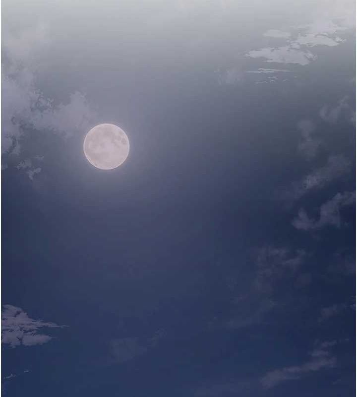 [韩国漫画] 花容湿色:取花点 剧情,巨乳大奶#[130P]-41