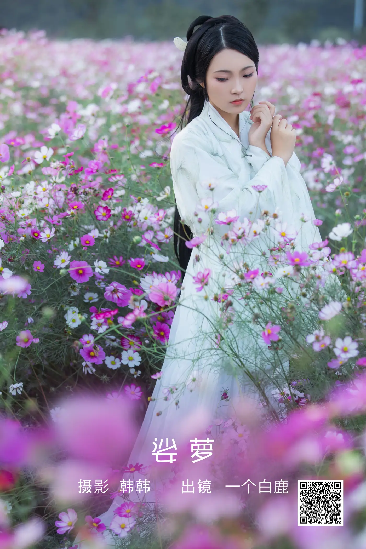 [艺图语] 2022.05.23 Vol.0961 – 娑萝 一个白鹿