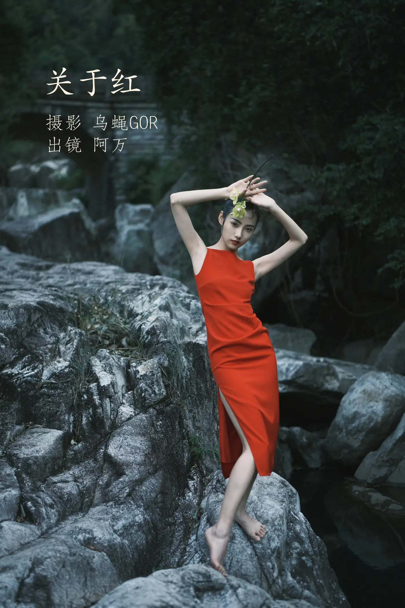 2022.11.14 Vol.2434 – 关于红