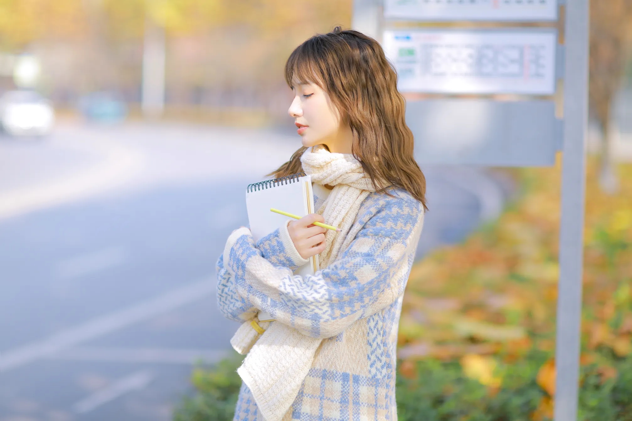 [艺图语] 2022.12.08 Vol.2630 – 秋日物语 阳曦#[33P]-33