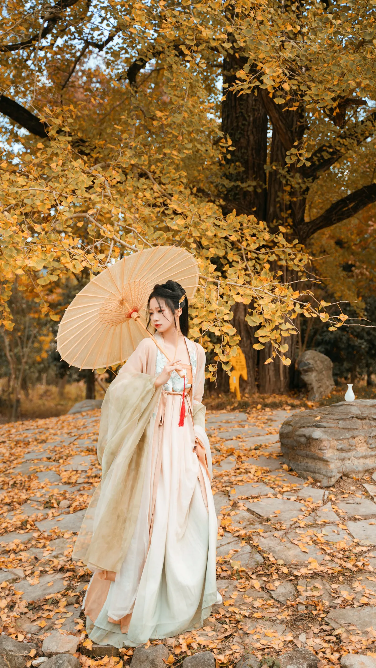 [YITUYU] 2022.12.12 Vol.2664 – Under the Ginkgo Tree Wangwang Xiaoxiaoshu#[39P]-3