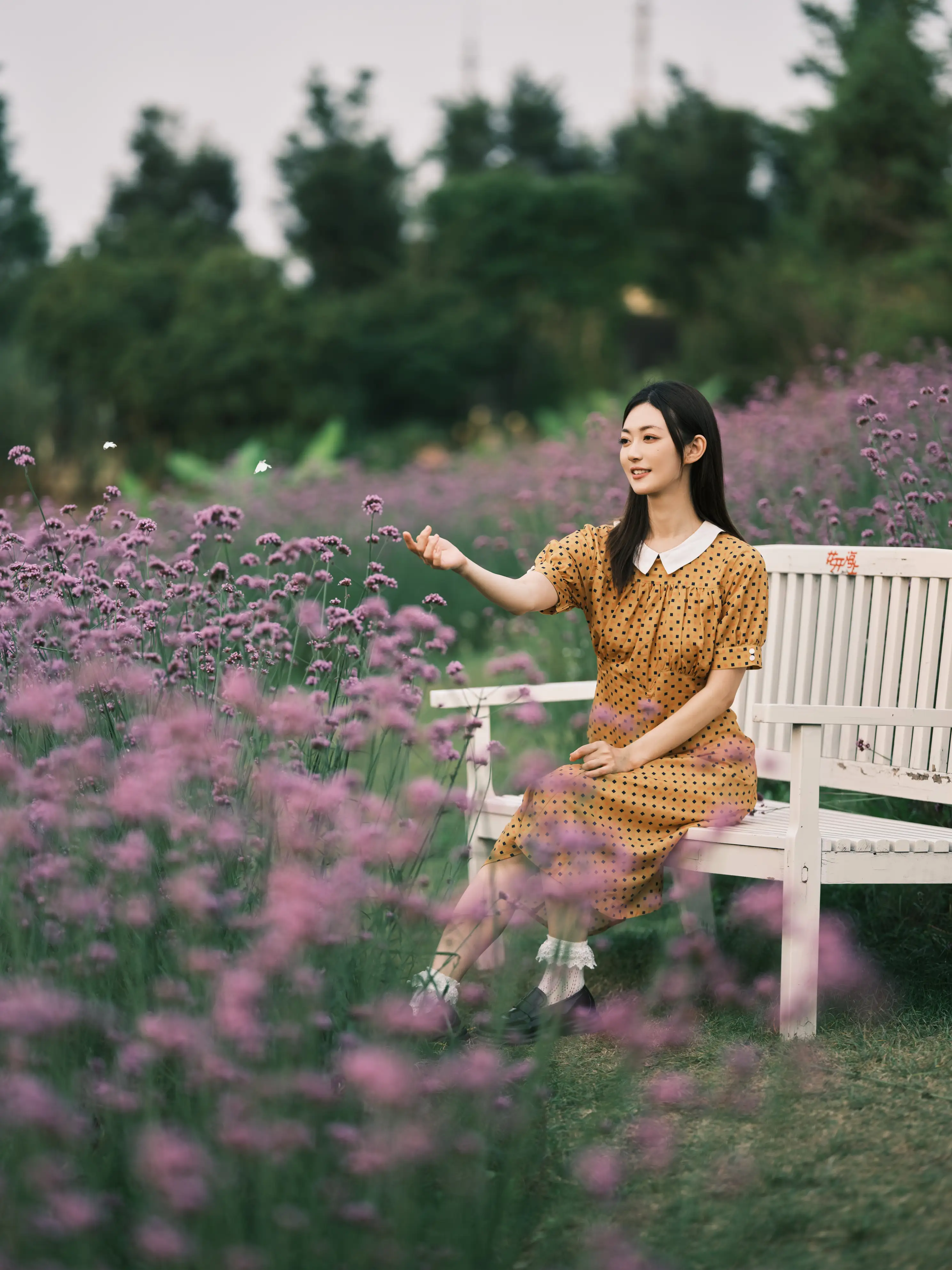 [艺图语] 2022.08.08 Vol.1654 – 硫华菊&柳叶马鞭草-是夏天的味道呀！ 飞鸟咕咕-#[44P]-31