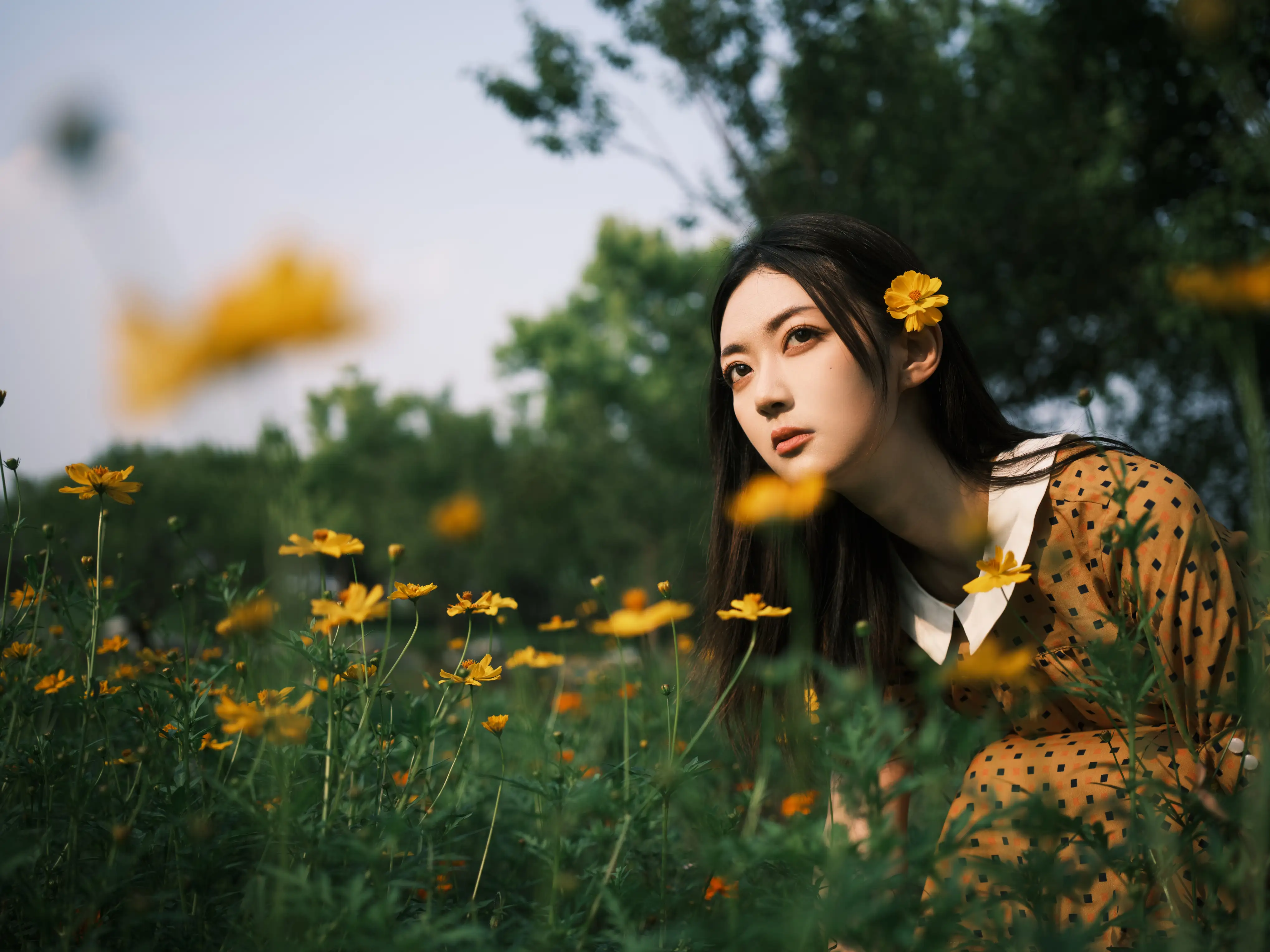 [艺图语] 2022.08.08 Vol.1654 – 硫华菊&柳叶马鞭草-是夏天的味道呀！ 飞鸟咕咕-#[44P]-40