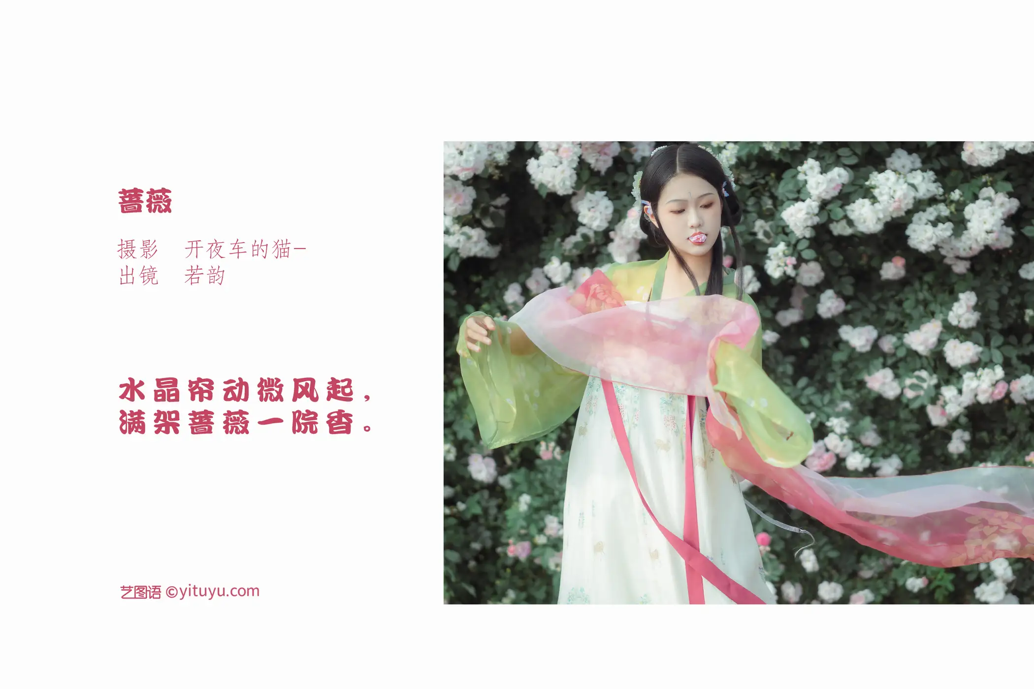 [艺图语] 2022.09.14 Vol.1949 – 蔷薇 若韵#[23P]-2