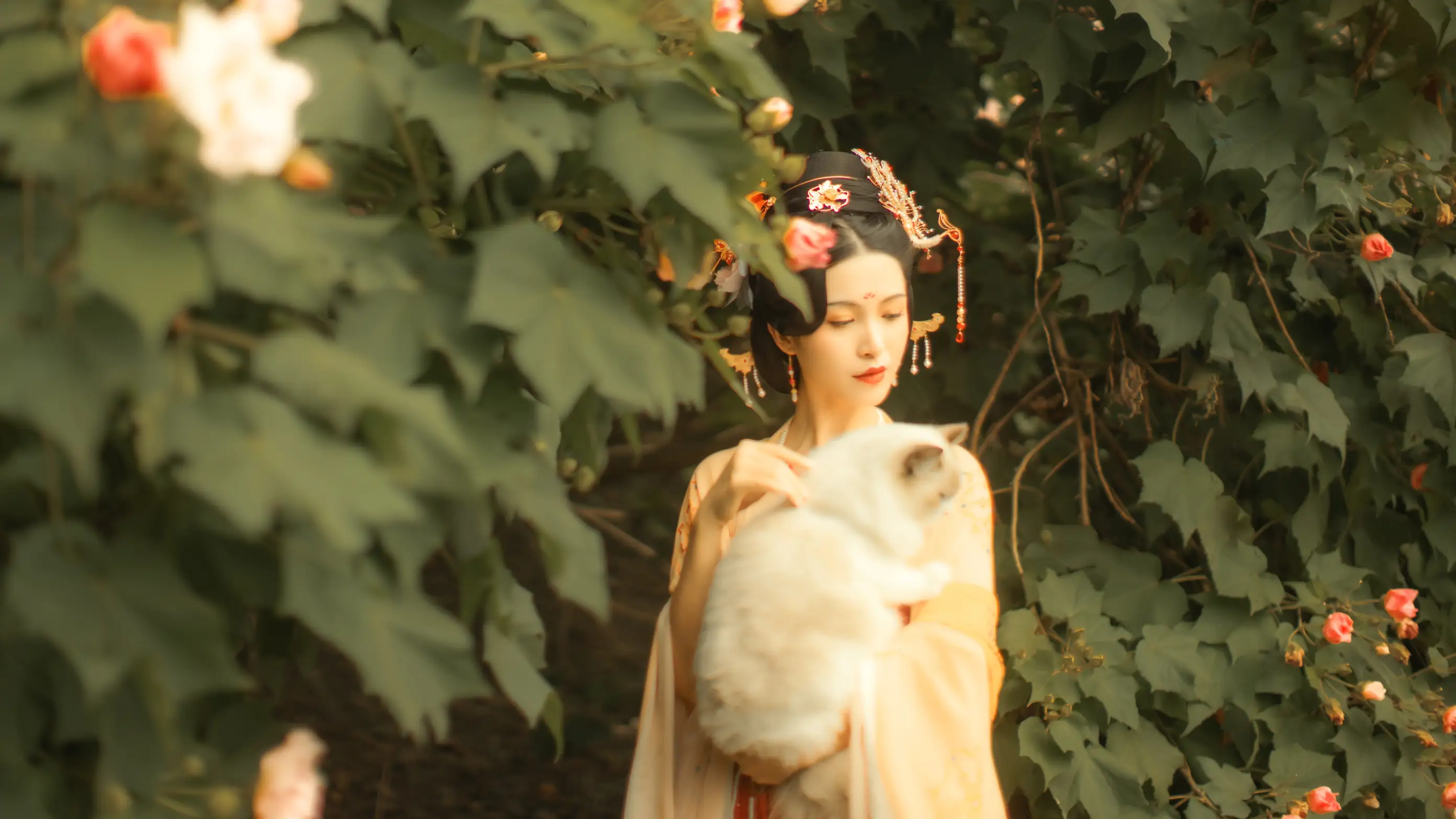 [艺图语] 2021.11.18 Vol.455 – 芙蓉词 修水凝花#[38P]-36