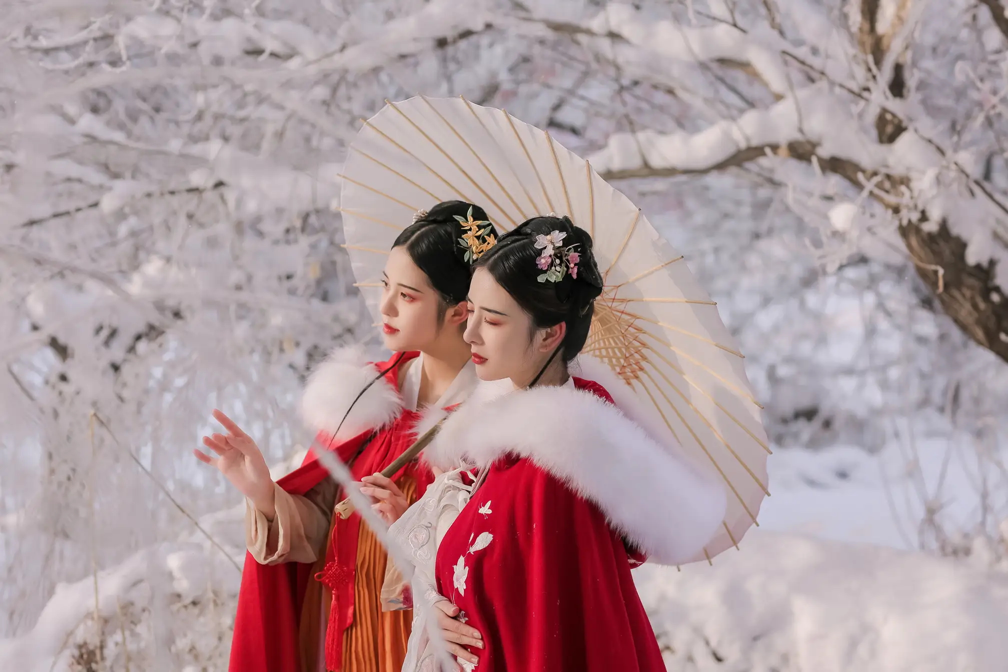 [艺图语] 2022.07.08 Vol.1419 – 异乡雪 沐槿cutie#[32P]-1