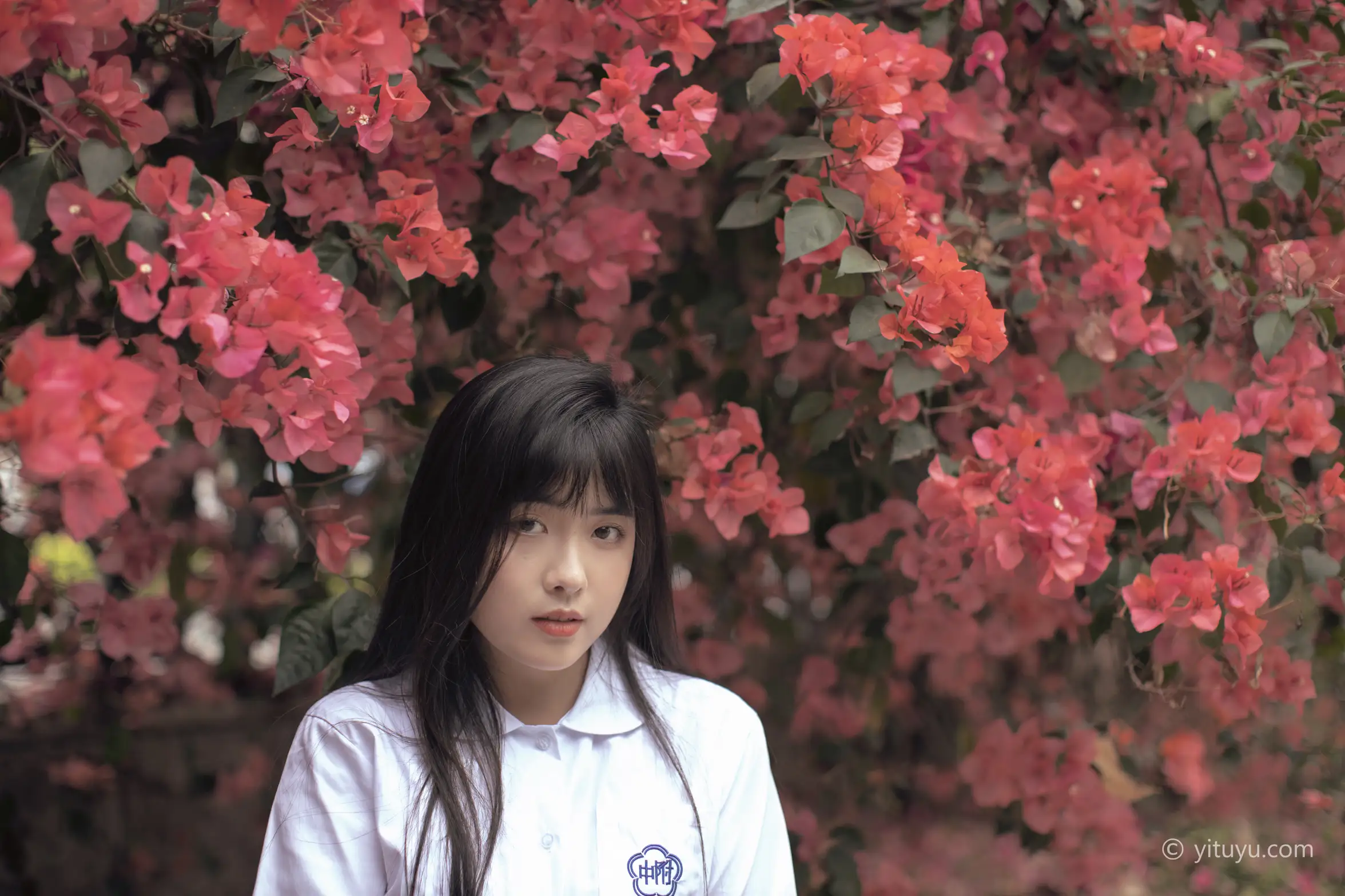 [艺图语] 2021.04.28 Vol.046 – 花季 黄子卿#[27P]-3