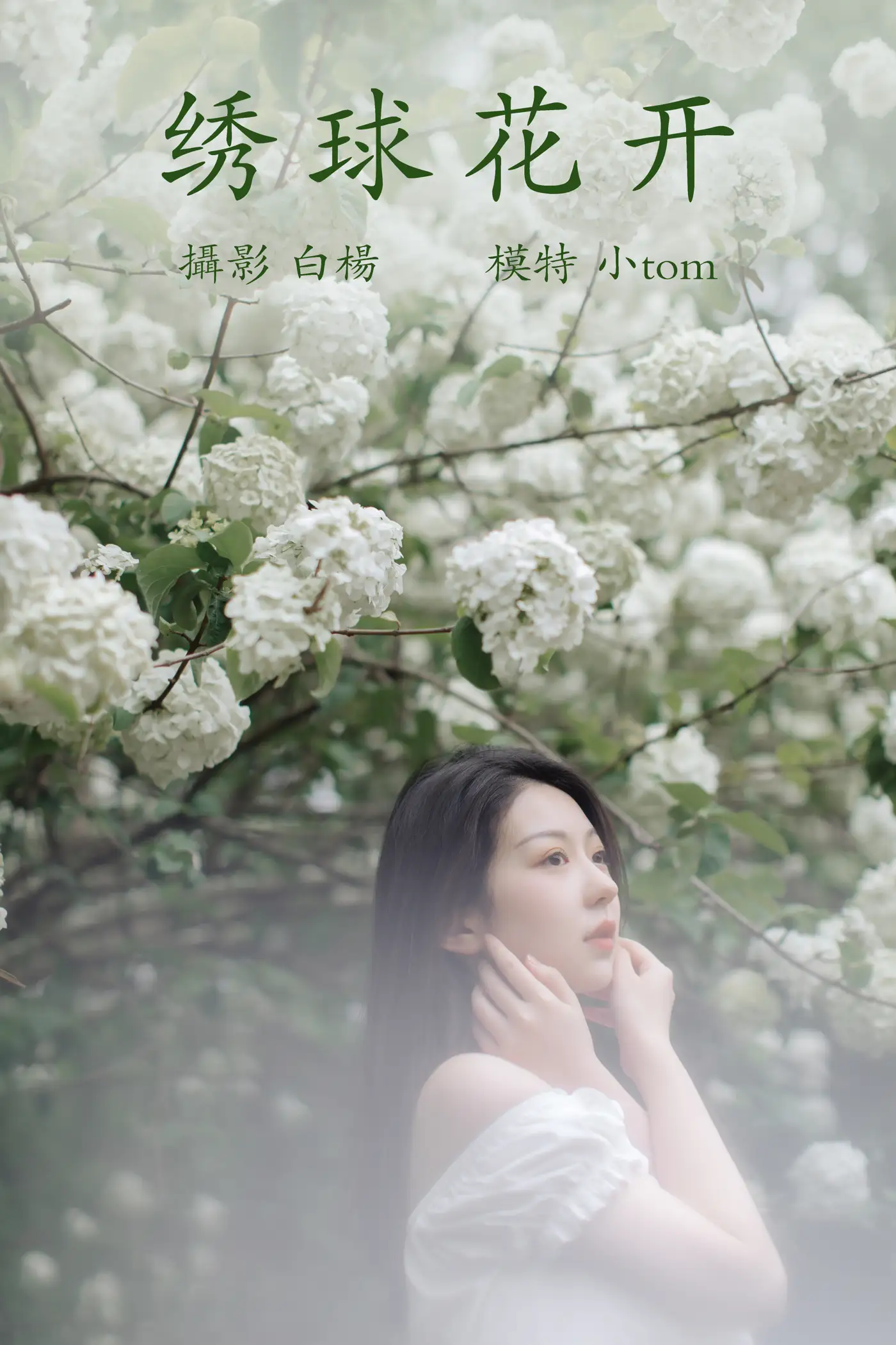 [艺图语] 2021.12.31 Vol.565 – 绣球花开 小tom#[22P]-1