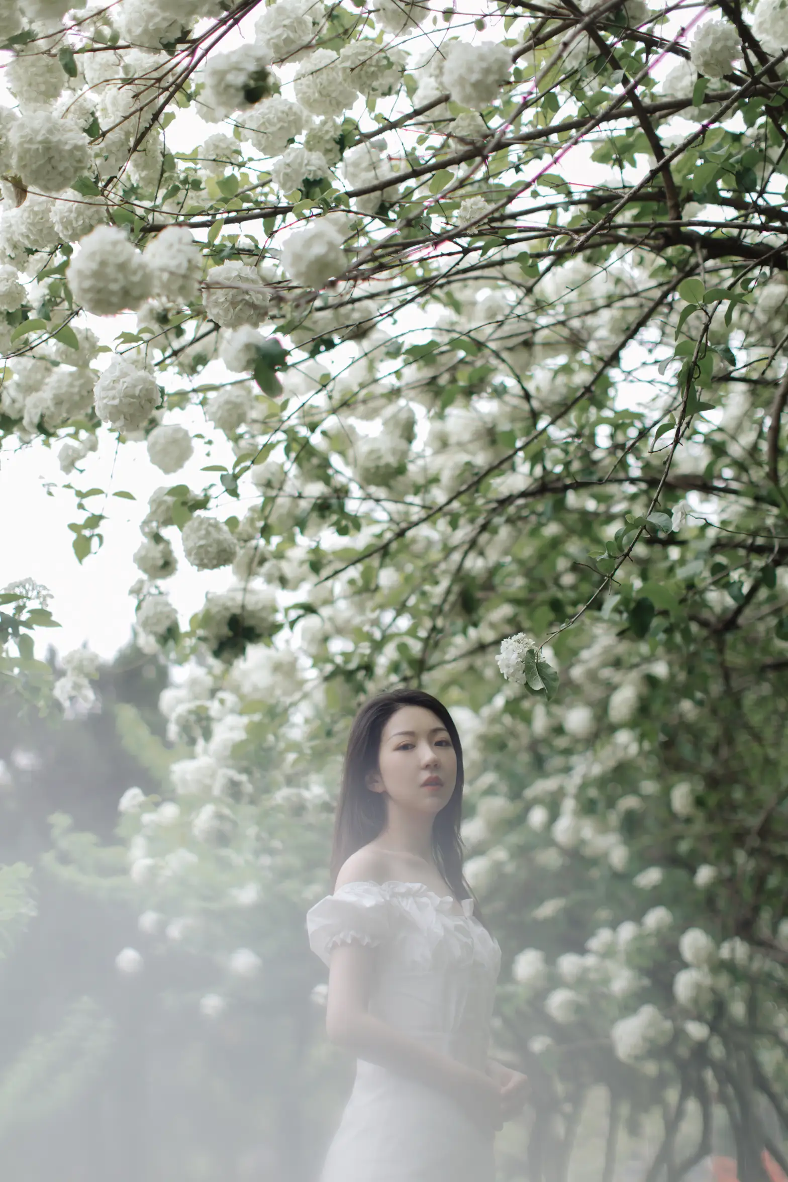 [艺图语] 2021.12.31 Vol.565 – 绣球花开 小tom#[22P]-10