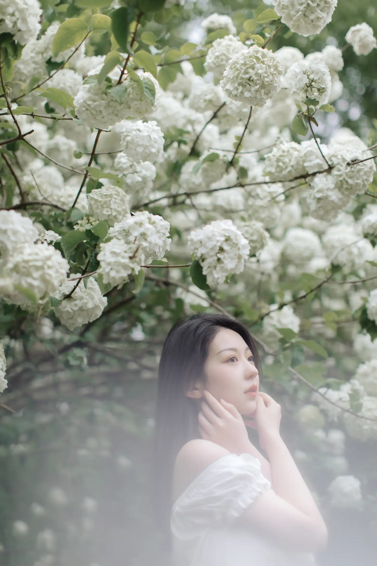 [艺图语] 2021.12.31 Vol.565 – 绣球花开 小tom#[22P]-12