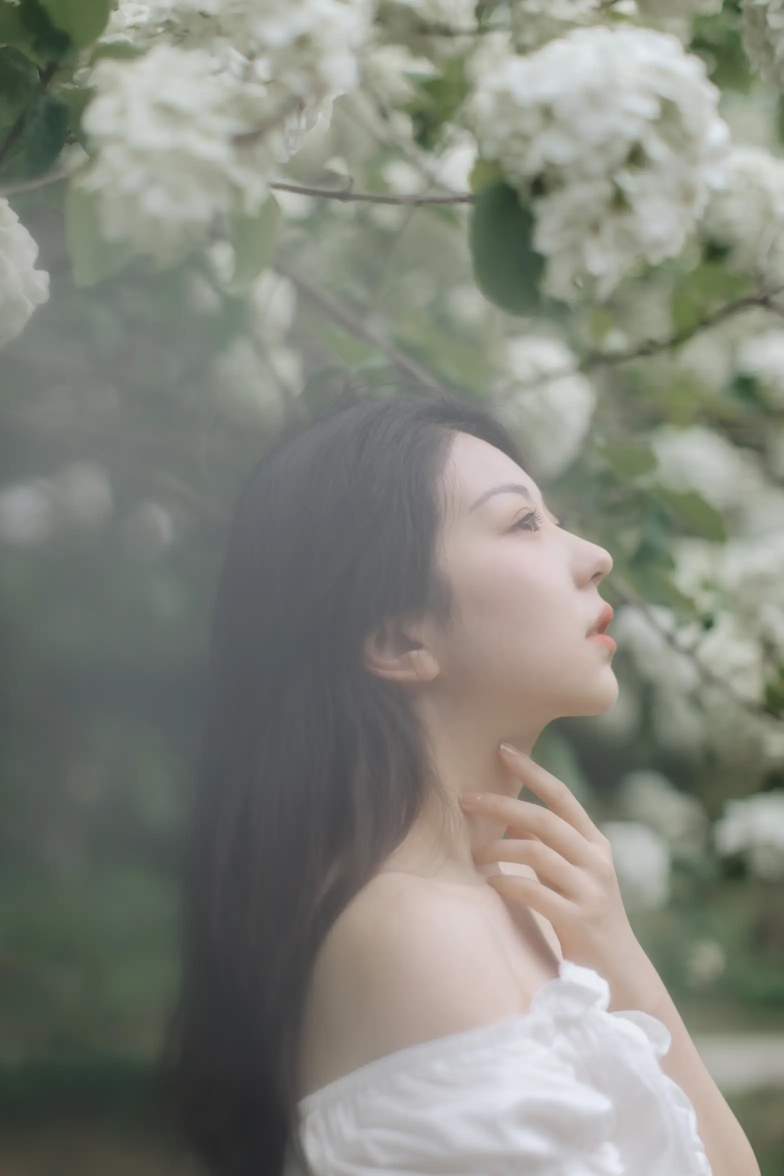 [艺图语] 2021.12.31 Vol.565 – 绣球花开 小tom#[22P]-13