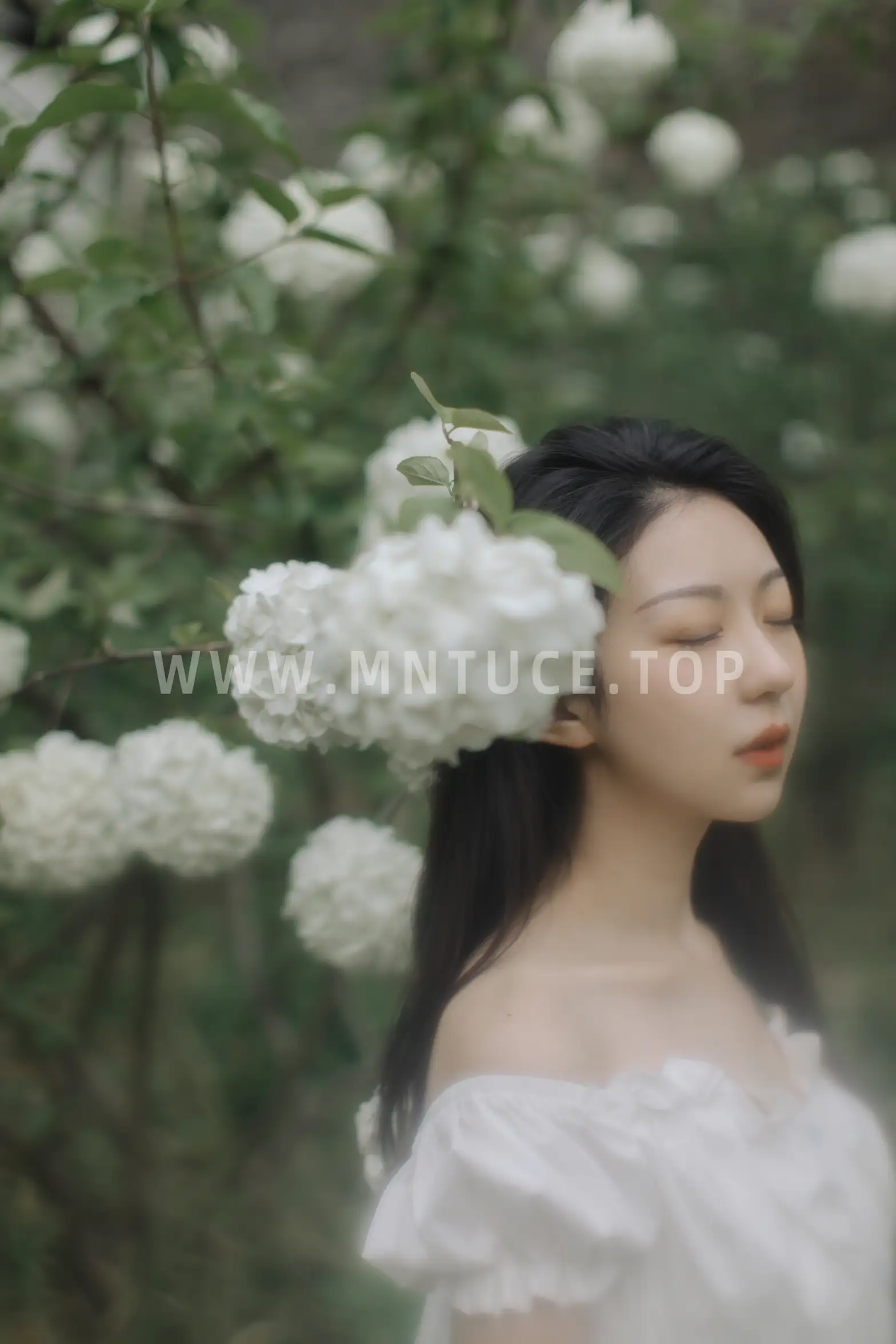 [艺图语] 2021.12.31 Vol.565 – 绣球花开 小tom#[22P]-19