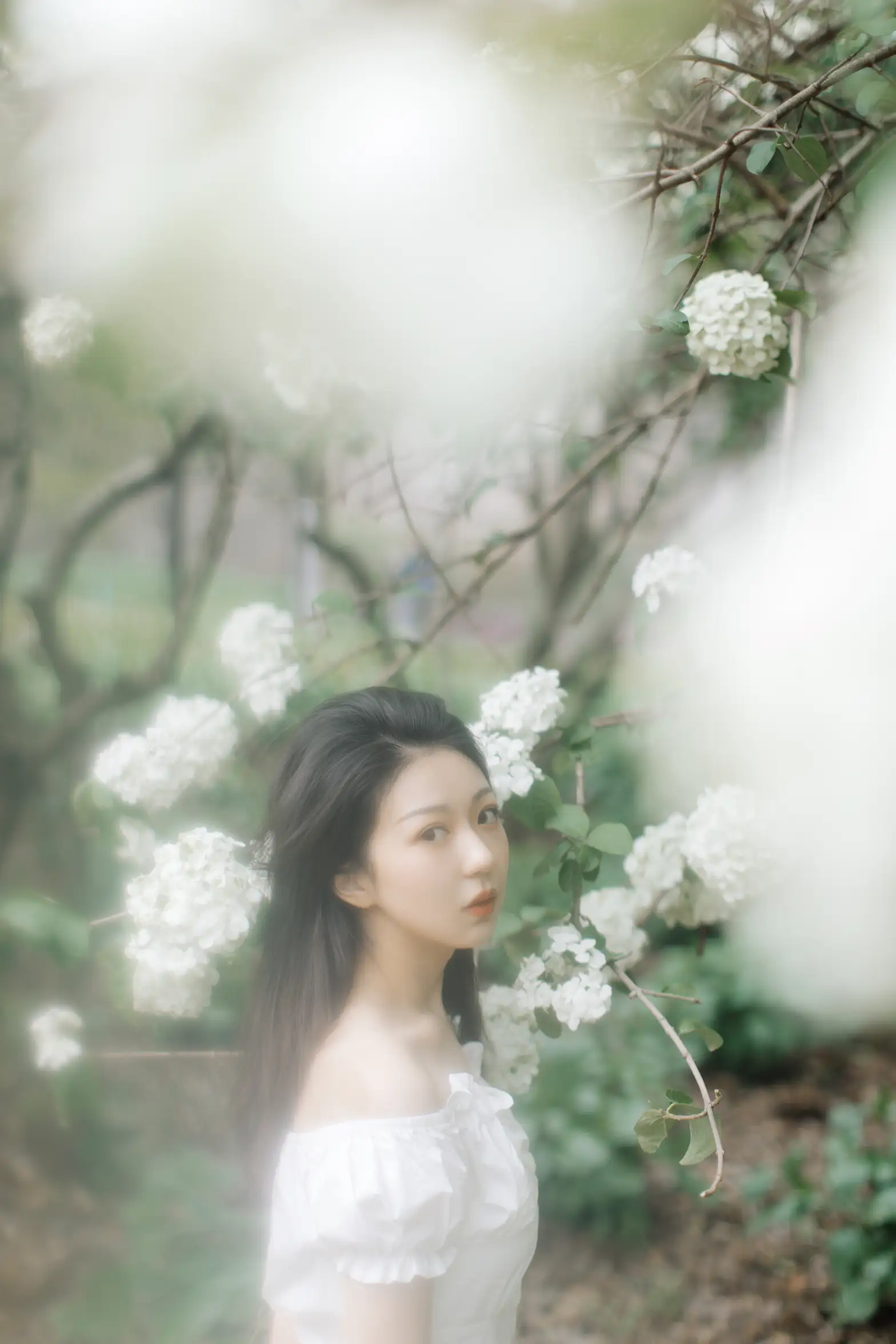 [艺图语] 2021.12.31 Vol.565 – 绣球花开 小tom#[22P]-3