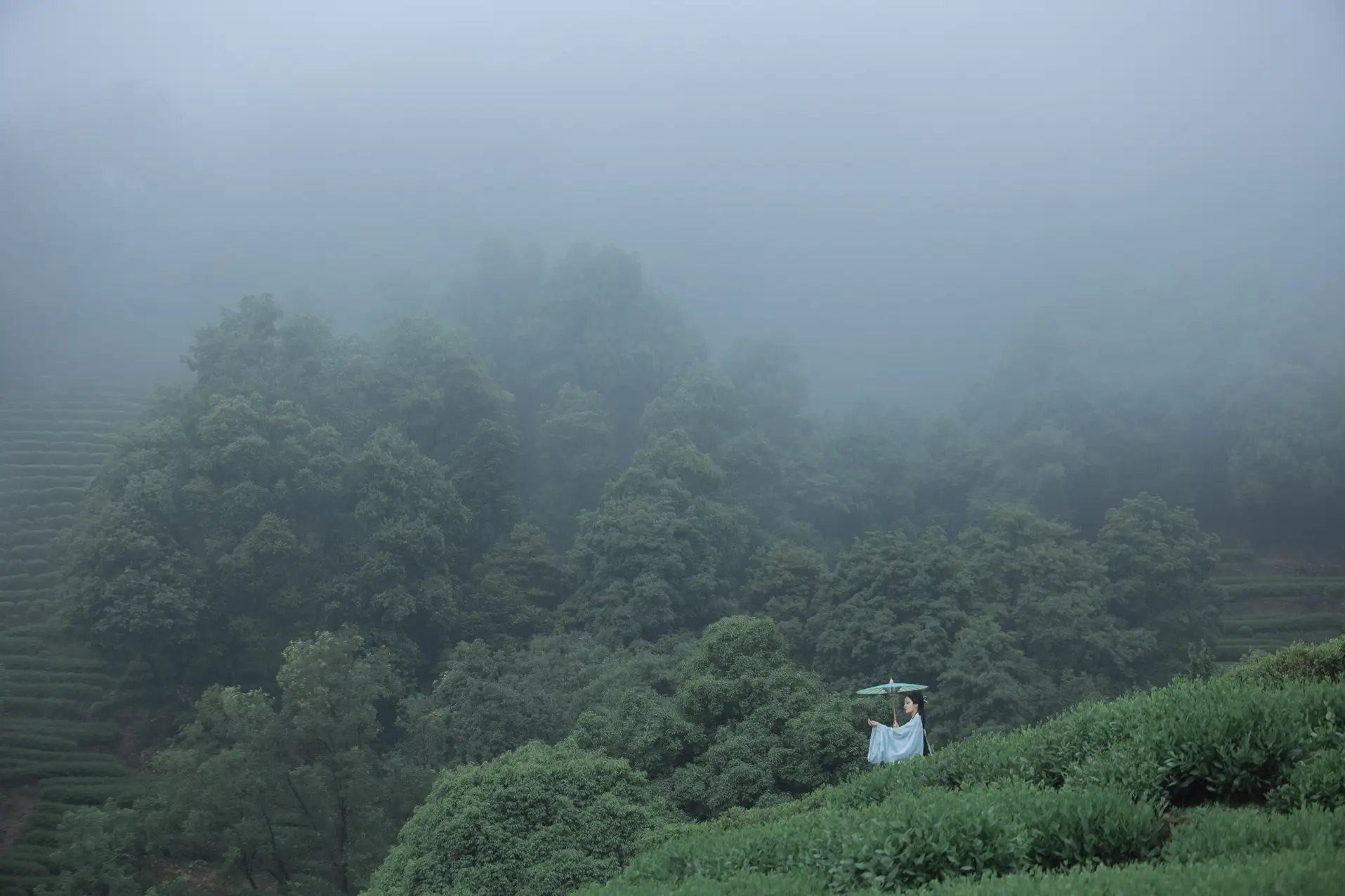 [艺图语] 2022.07.05 Vol.1384 – 空山新雨 沈云缭#[42P]-4