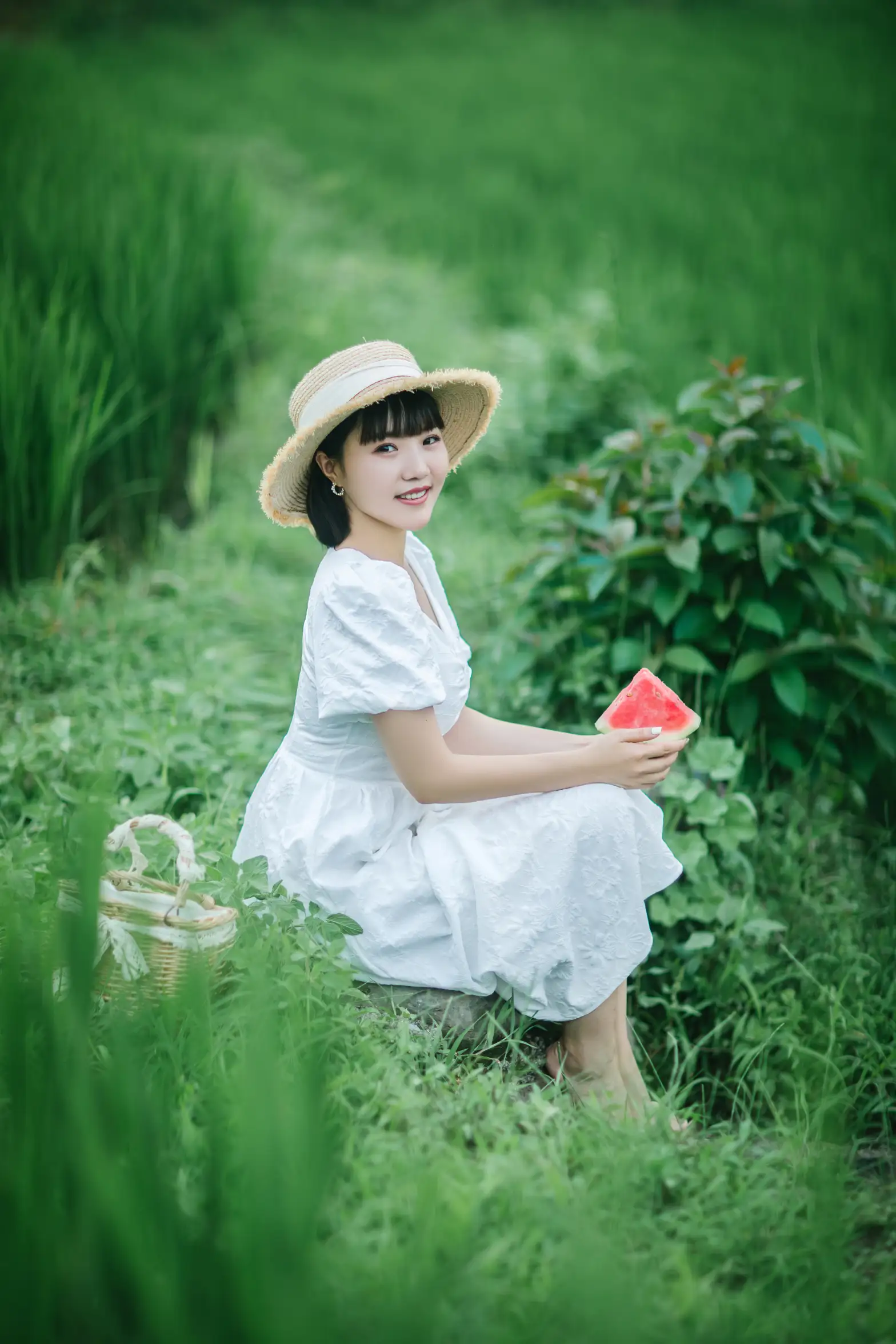 2022.08.24 Vol.1782 – 夏天的稻田 11