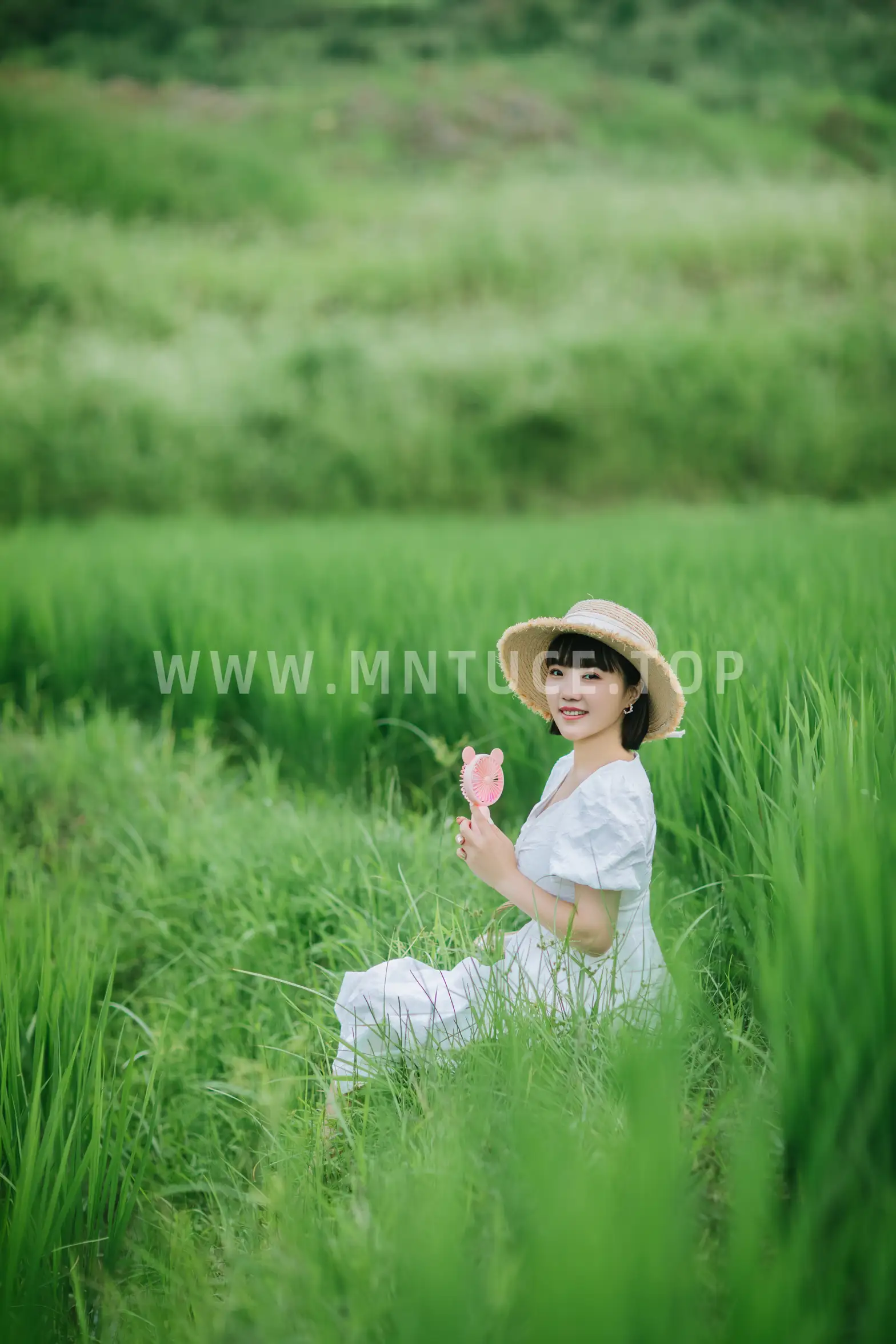 2022.08.24 Vol.1782 – 夏天的稻田 18