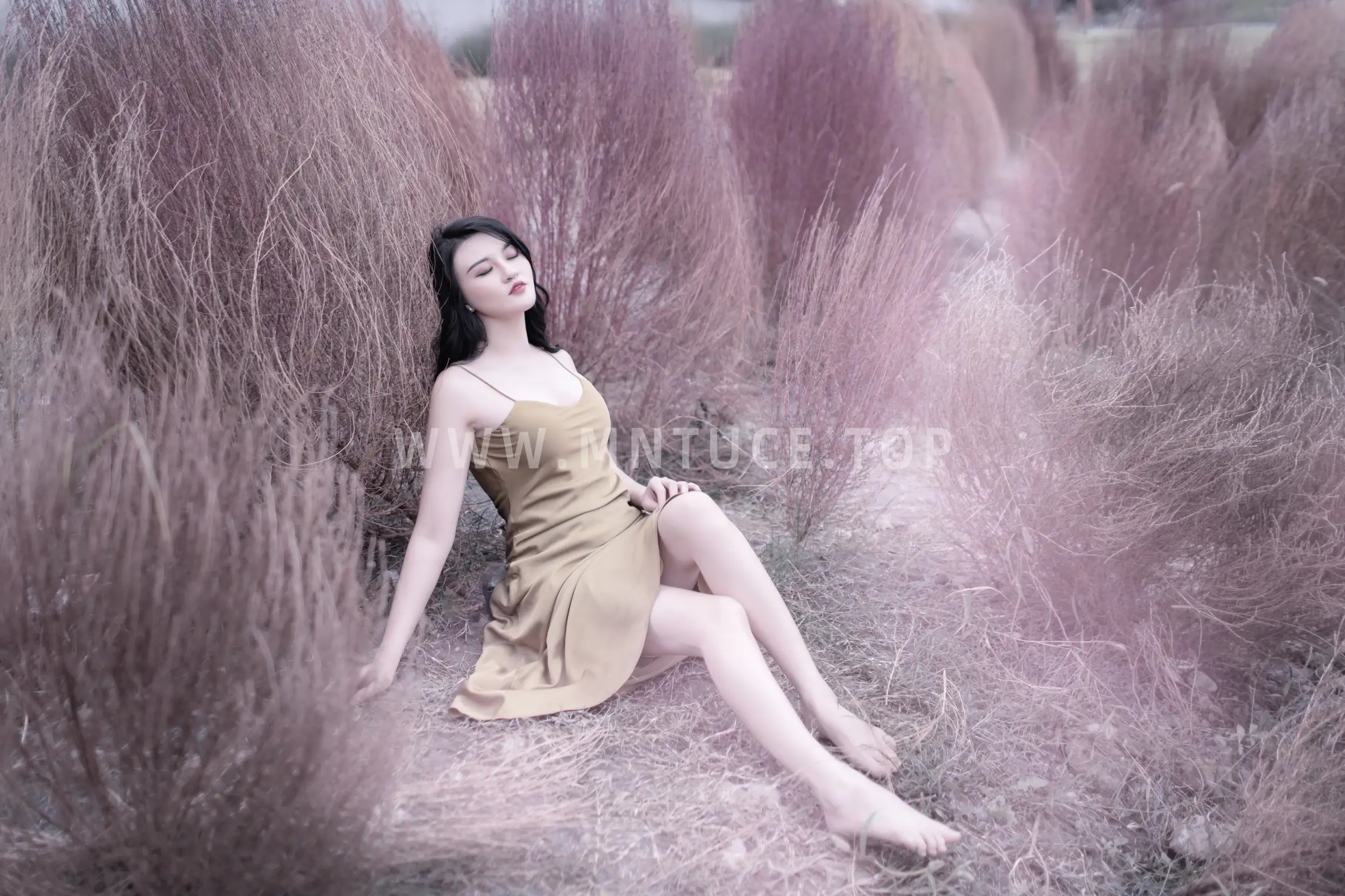 [艺图语] 2022.11.13 Vol.2432 – 紫色烟花 翠花儿#[28P]-28