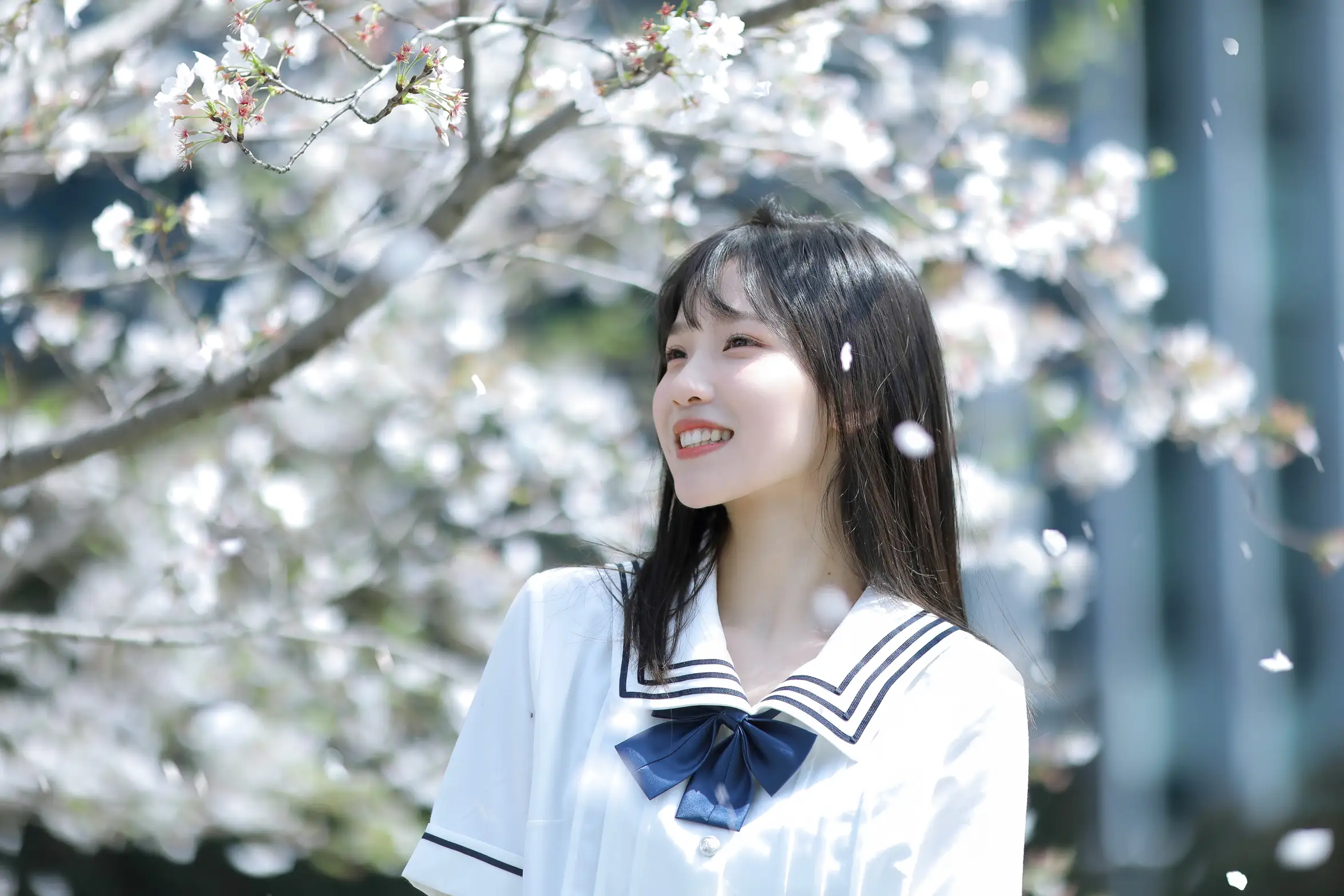 [艺图语] 2022.11.23 Vol.2506 春日樱花#[29P]-18